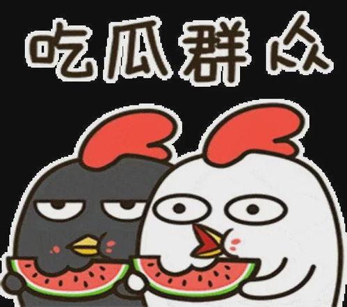 娱乐吃瓜酱文字的力量,揭秘娱乐圈背后的秘密与八卦风云